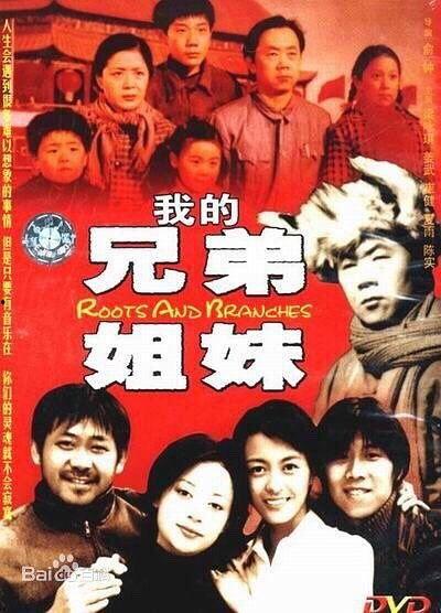 我的兄弟姐妹在线观看,云端共赏温馨时光